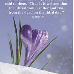 04 15 18 bulletin 1 1