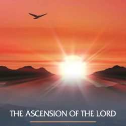 June 2 2019 bulletin 1