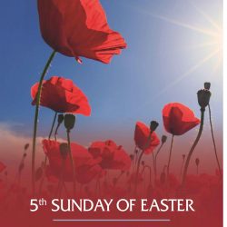 May 19 2019 bulletin 1