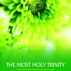 C166Trinity nat 19 EN 4c