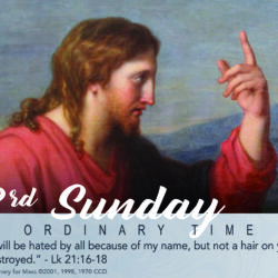 November 13 2022 Cover Art