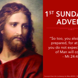 November 27 2022 Cover Art