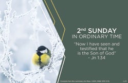 n7wrfsgtfptk6j52bhr3vrb