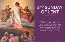 tcsw46kz7jgh3vcn8fk4g7pn