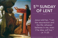 t75qm5fhfpgfrh8n9fjmgtpr