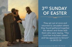 2k6tsmbvnshjx7kc8z8tttjp