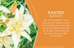 ghnv2bt8m355sfsrff9n3cfc