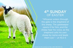 q43zxf 2s8cgo ag2nts