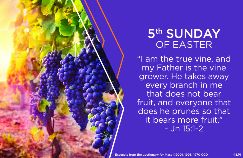 April 28 2024 Three Parish Catholic Family