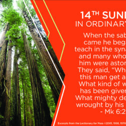 B101OT14 nat21 half EN 4c